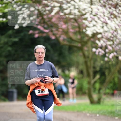 13.04.2025 - Hammer Lauf Dr. Thomas Lammeyer http://msf.ph/oto/7649171 13.04.2025 10:21:49 Laufen 17, 15, 262 meine-sportfotos.de