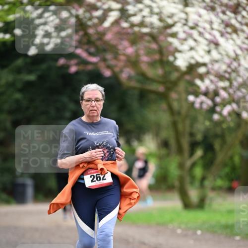 13.04.2025 - Hammer Lauf Dr. Thomas Lammeyer http://msf.ph/oto/7649177 13.04.2025 10:21:49 Laufen 17, 15, 262 meine-sportfotos.de