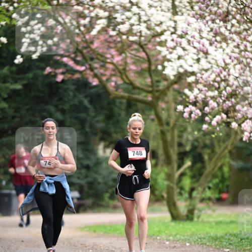 13.04.2025 - Hammer Lauf Dr. Thomas Lammeyer http://msf.ph/oto/7649215 13.04.2025 10:22:07 Laufen 74, 748 meine-sportfotos.de