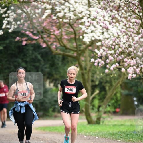 13.04.2025 - Hammer Lauf Dr. Thomas Lammeyer http://msf.ph/oto/7649220 13.04.2025 10:22:07 Laufen 748, 749 meine-sportfotos.de