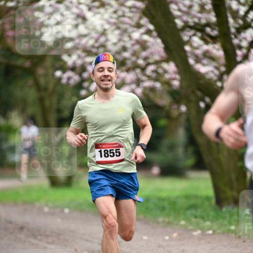 13.04.2025 - Hammer Lauf Dr. Thomas Lammeyer http://msf.ph/oto/7649593 13.04.2025 10:22:56 Laufen 15, 1855 meine-sportfotos.de