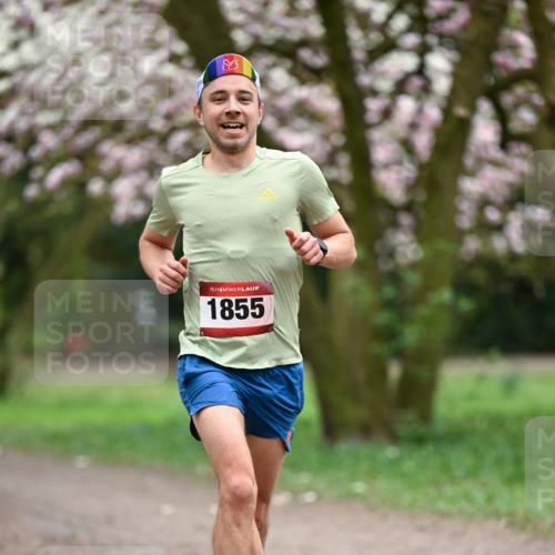 13.04.2025 - Hammer Lauf Dr. Thomas Lammeyer http://msf.ph/oto/7649603 13.04.2025 10:22:57 Laufen 3, 15, 1855 meine-sportfotos.de