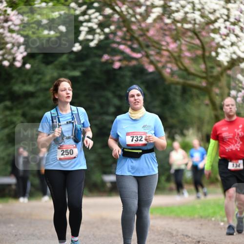 13.04.2025 - Hammer Lauf Dr. Thomas Lammeyer http://msf.ph/oto/7649652 13.04.2025 10:23:13 Laufen 250, 15, 732, 134 meine-sportfotos.de