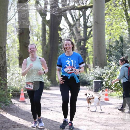 13.04.2025 - Hammer Lauf Jannik Wohlers http://msf.ph/oto/7649706 13.04.2025 11:01:50 Laufen 1018, 31, 630 meine-sportfotos.de