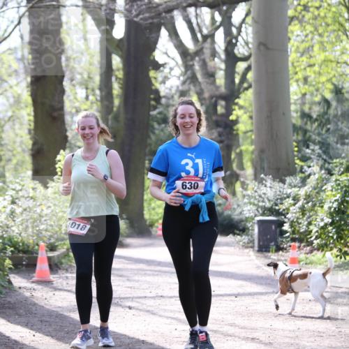 13.04.2025 - Hammer Lauf Jannik Wohlers http://msf.ph/oto/7649708 13.04.2025 11:01:50 Laufen 018, 31, 630 meine-sportfotos.de