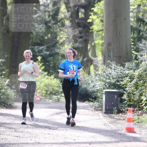 13.04.2025 - Hammer Lauf Jannik Wohlers http://msf.ph/oto/7649724 13.04.2025 11:01:44 Laufen 1018, 31, 620 meine-sportfotos.de