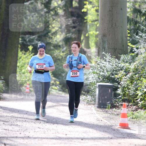 13.04.2025 - Hammer Lauf Jannik Wohlers http://msf.ph/oto/7649758 13.04.2025 11:01:13 Laufen 732, 250 meine-sportfotos.de