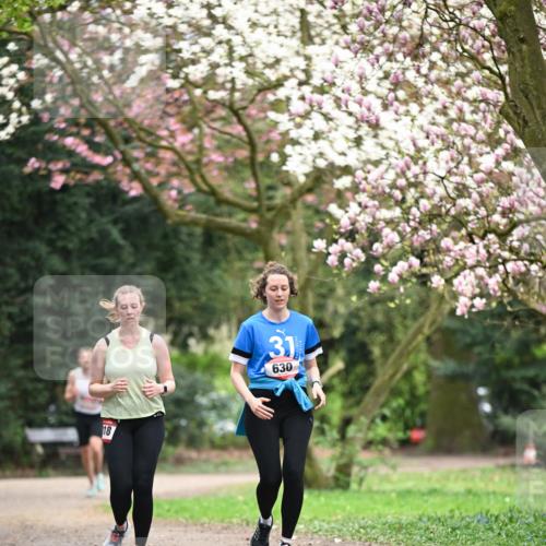 13.04.2025 - Hammer Lauf Dr. Thomas Lammeyer http://msf.ph/oto/7649780 13.04.2025 10:23:30 Laufen 18, 31, 630 meine-sportfotos.de