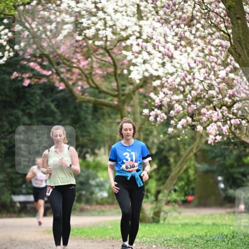 13.04.2025 - Hammer Lauf Dr. Thomas Lammeyer http://msf.ph/oto/7649782 13.04.2025 10:23:30 Laufen 18, 31, 630 meine-sportfotos.de