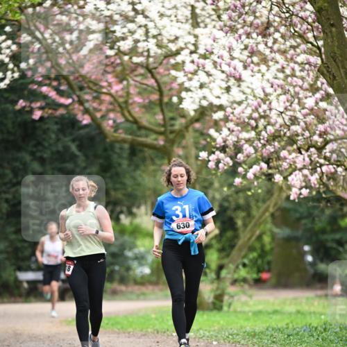 13.04.2025 - Hammer Lauf Dr. Thomas Lammeyer http://msf.ph/oto/7649785 13.04.2025 10:23:30 Laufen 18, 31, 630 meine-sportfotos.de