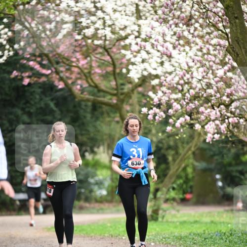 13.04.2025 - Hammer Lauf Dr. Thomas Lammeyer http://msf.ph/oto/7649791 13.04.2025 10:23:30 Laufen 18, 31, 630 meine-sportfotos.de