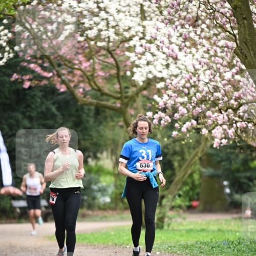 13.04.2025 - Hammer Lauf Dr. Thomas Lammeyer http://msf.ph/oto/7649794 13.04.2025 10:23:30 Laufen 18, 31, 630 meine-sportfotos.de