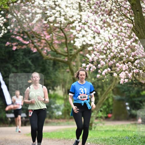 13.04.2025 - Hammer Lauf Dr. Thomas Lammeyer http://msf.ph/oto/7649796 13.04.2025 10:23:30 Laufen 18, 31, 630 meine-sportfotos.de