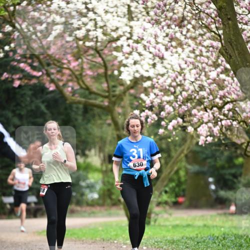13.04.2025 - Hammer Lauf Dr. Thomas Lammeyer http://msf.ph/oto/7649798 13.04.2025 10:23:31 Laufen 18, 31, 630 meine-sportfotos.de