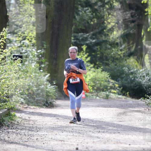13.04.2025 - Hammer Lauf Jannik Wohlers http://msf.ph/oto/7649866 13.04.2025 10:58:34 Laufen 262 meine-sportfotos.de