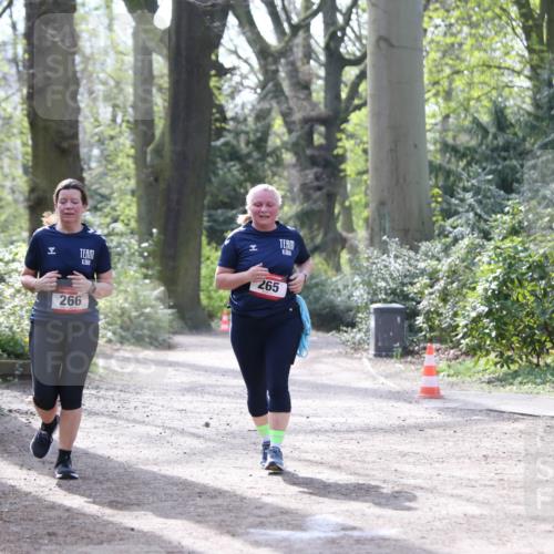 13.04.2025 - Hammer Lauf Jannik Wohlers http://msf.ph/oto/7649957 13.04.2025 10:56:39 Laufen 265, 266 meine-sportfotos.de