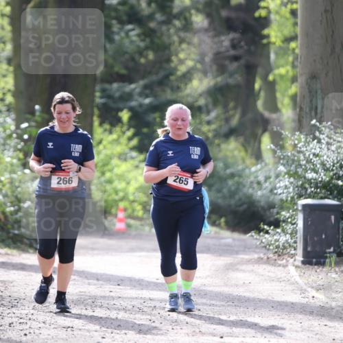 13.04.2025 - Hammer Lauf Jannik Wohlers http://msf.ph/oto/7649971 13.04.2025 10:56:35 Laufen 15, 10, 266, 265 meine-sportfotos.de