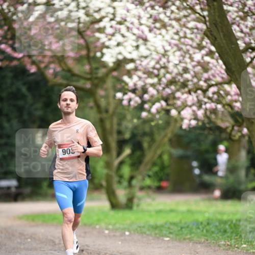 13.04.2025 - Hammer Lauf Dr. Thomas Lammeyer http://msf.ph/oto/7649972 13.04.2025 10:24:17 Laufen 306 meine-sportfotos.de
