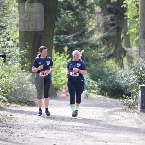 13.04.2025 - Hammer Lauf Jannik Wohlers http://msf.ph/oto/7649989 13.04.2025 10:56:32 Laufen 266, 265 meine-sportfotos.de