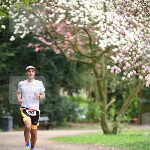 13.04.2025 - Hammer Lauf Dr. Thomas Lammeyer http://msf.ph/oto/7650017 13.04.2025 10:24:27 Laufen 263 meine-sportfotos.de