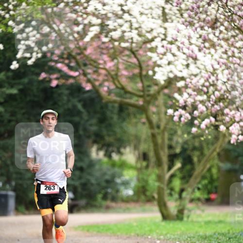 13.04.2025 - Hammer Lauf Dr. Thomas Lammeyer http://msf.ph/oto/7650026 13.04.2025 10:24:28 Laufen 263 meine-sportfotos.de
