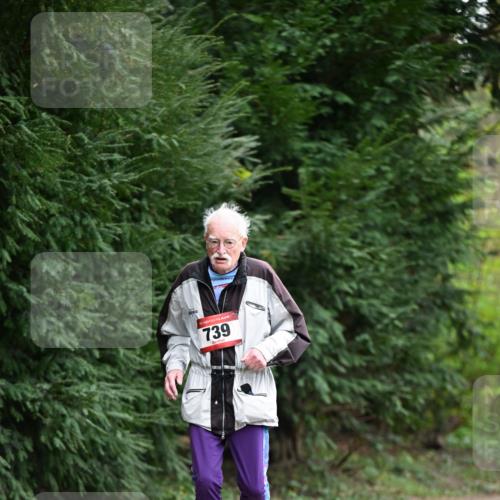 13.04.2025 - Hammer Lauf Dr. Thomas Lammeyer http://msf.ph/oto/7650129 13.04.2025 10:26:46 Laufen 15, 739 meine-sportfotos.de