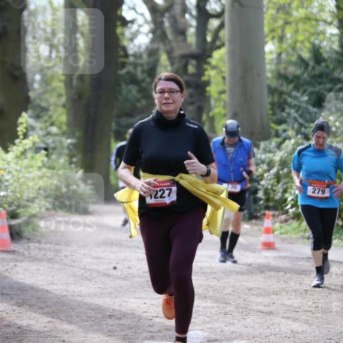 13.04.2025 - Hammer Lauf Jannik Wohlers http://msf.ph/oto/7650147 13.04.2025 10:55:34 Laufen 227, 11, 130, 279 meine-sportfotos.de