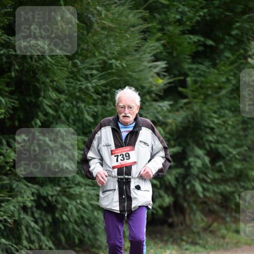 13.04.2025 - Hammer Lauf Dr. Thomas Lammeyer http://msf.ph/oto/7650164 13.04.2025 10:26:47 Laufen 15, 739 meine-sportfotos.de