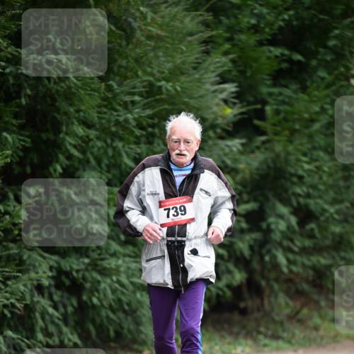 13.04.2025 - Hammer Lauf Dr. Thomas Lammeyer http://msf.ph/oto/7650168 13.04.2025 10:26:47 Laufen 15, 739 meine-sportfotos.de