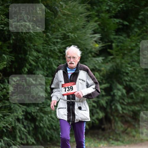 13.04.2025 - Hammer Lauf Dr. Thomas Lammeyer http://msf.ph/oto/7650178 13.04.2025 10:26:47 Laufen 15, 739 meine-sportfotos.de