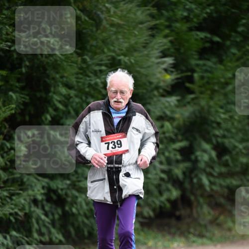 13.04.2025 - Hammer Lauf Dr. Thomas Lammeyer http://msf.ph/oto/7650193 13.04.2025 10:26:48 Laufen 15, 739 meine-sportfotos.de