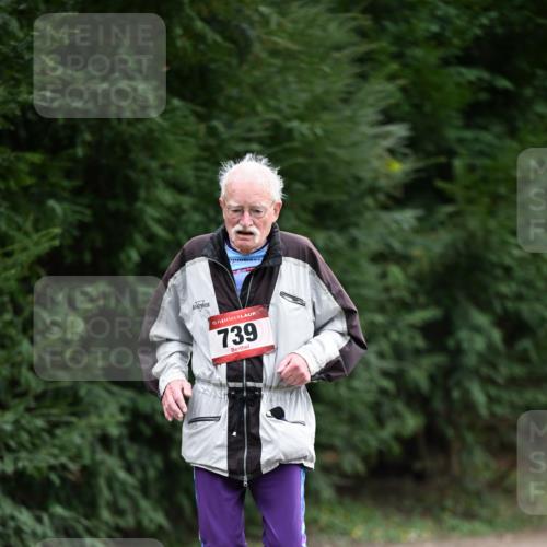 13.04.2025 - Hammer Lauf Dr. Thomas Lammeyer http://msf.ph/oto/7650212 13.04.2025 10:26:48 Laufen 15, 739 meine-sportfotos.de