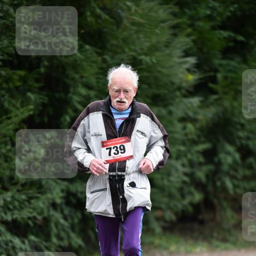 13.04.2025 - Hammer Lauf Dr. Thomas Lammeyer http://msf.ph/oto/7650217 13.04.2025 10:26:48 Laufen 15, 739 meine-sportfotos.de