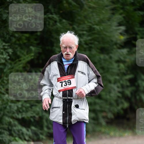 13.04.2025 - Hammer Lauf Dr. Thomas Lammeyer http://msf.ph/oto/7650238 13.04.2025 10:26:49 Laufen 15, 739 meine-sportfotos.de
