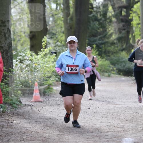 13.04.2025 - Hammer Lauf Jannik Wohlers http://msf.ph/oto/7650402 13.04.2025 10:54:19 Laufen 15, 1365, 439 meine-sportfotos.de