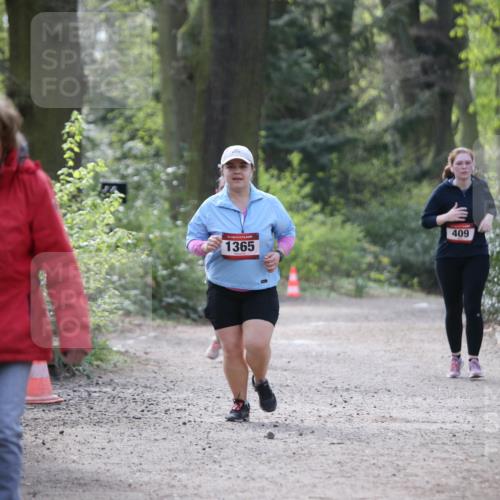 13.04.2025 - Hammer Lauf Jannik Wohlers http://msf.ph/oto/7650408 13.04.2025 10:54:17 Laufen 15, 1365, 409 meine-sportfotos.de