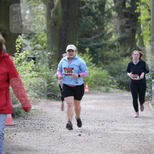 13.04.2025 - Hammer Lauf Jannik Wohlers http://msf.ph/oto/7650411 13.04.2025 10:54:16 Laufen 1365, 409 meine-sportfotos.de