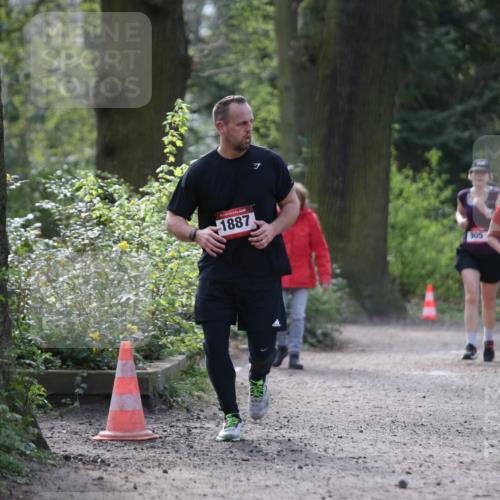 13.04.2025 - Hammer Lauf Jannik Wohlers http://msf.ph/oto/7650532 13.04.2025 10:53:59 Laufen 1887, 905, 19 meine-sportfotos.de