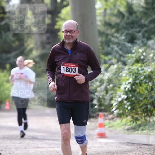 13.04.2025 - Hammer Lauf Jannik Wohlers http://msf.ph/oto/7650674 13.04.2025 10:53:30 Laufen 15, 1803 meine-sportfotos.de
