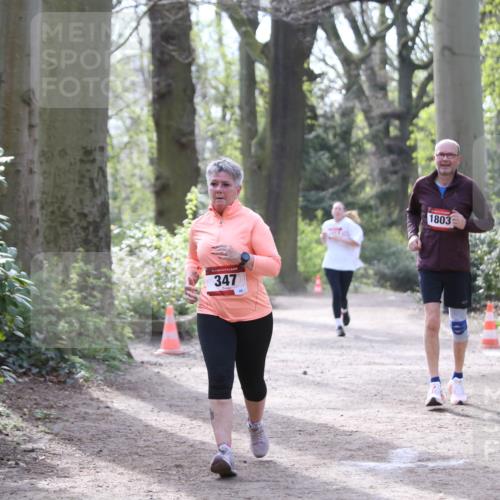 13.04.2025 - Hammer Lauf Jannik Wohlers http://msf.ph/oto/7650678 13.04.2025 10:53:30 Laufen 15, 347, 1803 meine-sportfotos.de