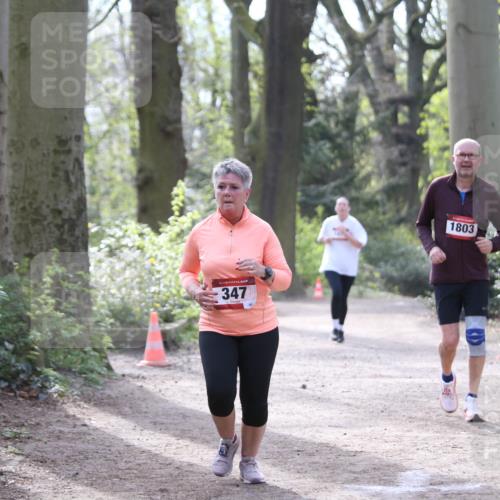13.04.2025 - Hammer Lauf Jannik Wohlers http://msf.ph/oto/7650682 13.04.2025 10:53:29 Laufen 15, 347, 1803 meine-sportfotos.de