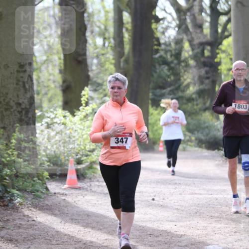 13.04.2025 - Hammer Lauf Jannik Wohlers http://msf.ph/oto/7650685 13.04.2025 10:53:29 Laufen 347, 7017, 1803 meine-sportfotos.de