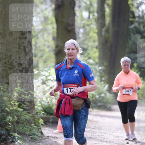 13.04.2025 - Hammer Lauf Jannik Wohlers http://msf.ph/oto/7650718 13.04.2025 10:53:26 Laufen 15, 172, 347 meine-sportfotos.de