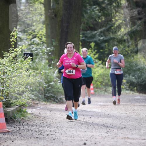 13.04.2025 - Hammer Lauf Jannik Wohlers http://msf.ph/oto/7650877 13.04.2025 10:52:37 Laufen 204, 1226 meine-sportfotos.de