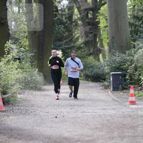 13.04.2025 - Hammer Lauf Jannik Wohlers http://msf.ph/oto/7650968 13.04.2025 10:51:28 Laufen 1269, 1270 meine-sportfotos.de