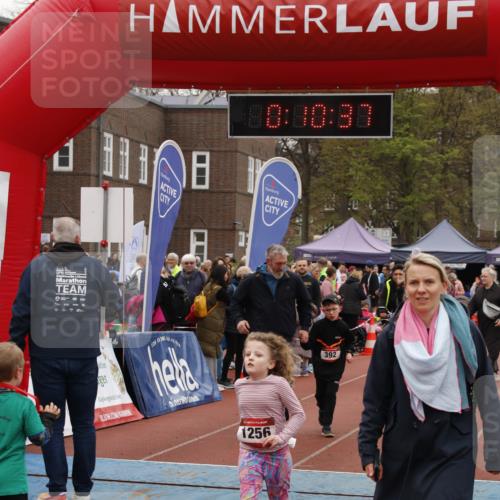 13.04.2025 - Hammer Lauf A. Gomolzig http://msf.ph/oto/7651076 13.04.2025 09:28:45 Ziel 392 meine-sportfotos.de