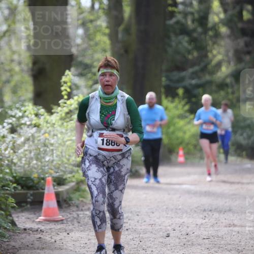 13.04.2025 - Hammer Lauf Jannik Wohlers http://msf.ph/oto/7651117 13.04.2025 10:50:27 Laufen 1866 meine-sportfotos.de