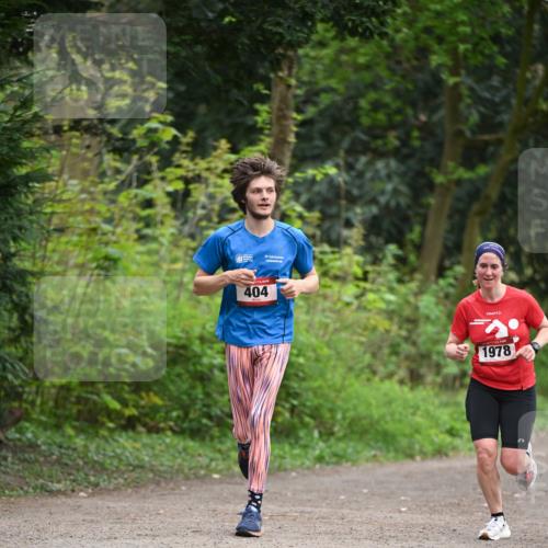 13.04.2025 - Hammer Lauf Dr. Thomas Lammeyer http://msf.ph/oto/7651205 13.04.2025 10:27:46 Laufen 404, 1978 meine-sportfotos.de