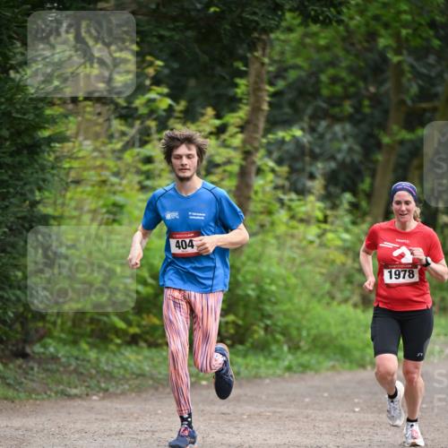 13.04.2025 - Hammer Lauf Dr. Thomas Lammeyer http://msf.ph/oto/7651216 13.04.2025 10:27:47 Laufen 404, 1978 meine-sportfotos.de