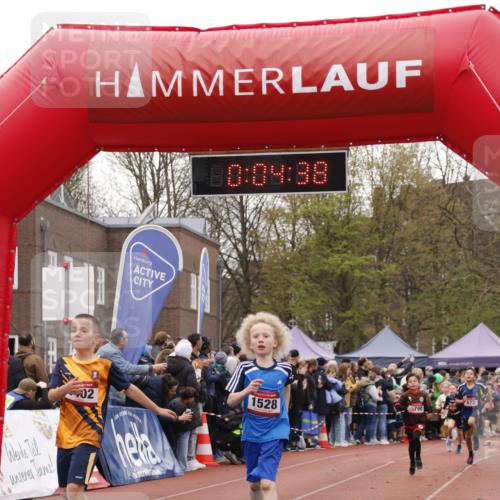 13.04.2025 - Hammer Lauf A. Gomolzig http://msf.ph/oto/7651258 13.04.2025 09:22:46 Ziel 535, 672, 931, 968, 1050, 1306, 1402, 1528, 1790 meine-sportfotos.de